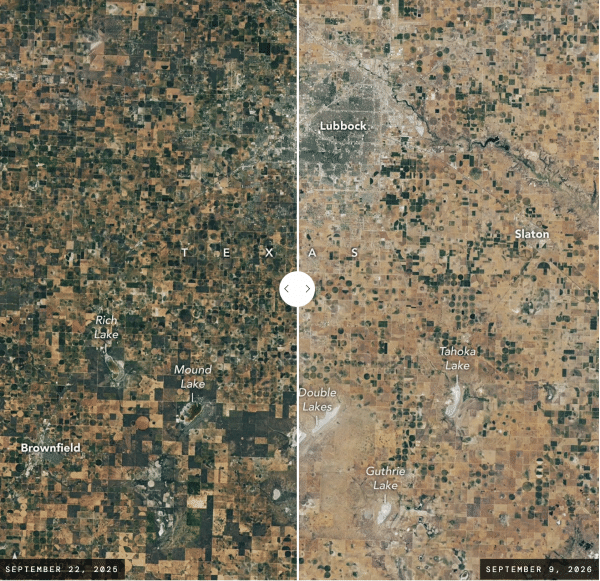 A side-by-side satellite image comparison of a region in Texas, showing conditions on September 22, 2025 (left) and September 9, 2026 (right). The left image displays a patchwork of dark green and brown agricultural fields with noticeable bodies of water, including Rich Lake and Mound Lake. The right image shows a noticeably dryer, more arid landscape dominated by tan and pale brown fields, with significantly reduced vegetation and dried-up or lightened lake beds labeled Double Lakes, Guthrie Lake, Tahoka L