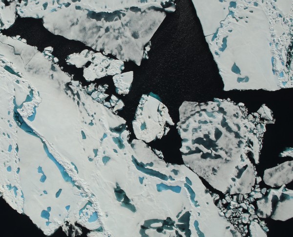Imagery of Sea Ice in the Arctic Ocean