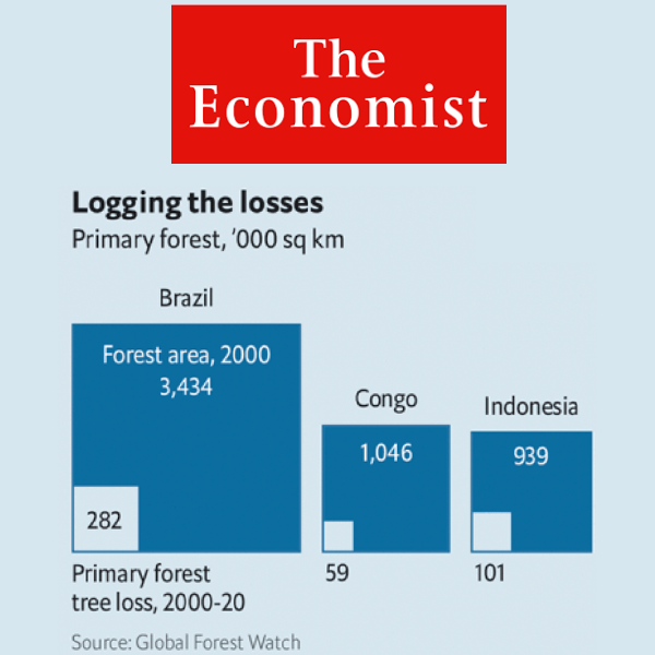 Primary tree loss in Brazil, Congo and Indonesia. Source: Global Forest Watch in The Economist