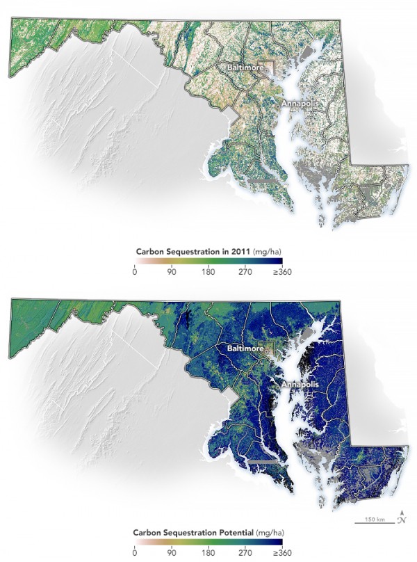 Maryland maps
