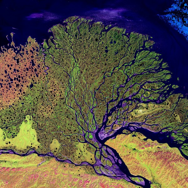 Satellite image of river delta