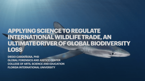 Title of the presentationEnst Weekly Seminar, Applying Science To Regulate International Wildlife Trade, an Ultimate Driver of Biodiversity Loss superposed over an image of a shark in the ocean with