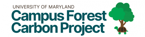 University of Maryland Campus Forest Carbon Project logo, featuring a tree growing from the shell of a turtle.