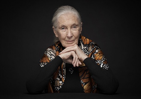 Jane Goodall